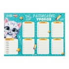 Расписание уроков «Мяу котенок»? бумажное, А4 (комплект 20 шт) - фото 25441655