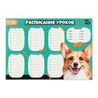 Расписание уроков «Улыбчивый корги» бумажное, А4 - Фото 2