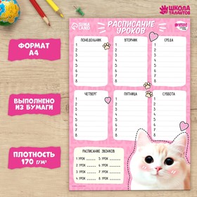 Расписание уроков «Хороший котик»‎ бумажное, А4