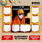 Расписание уроков «Магия ниндзи»‎ бумажное, А3 - фото 10715084