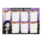 Школьное расписание «Для самых умных»? бумажное, А4, цвет МИКС (комплект 20 шт) - фото 24363625