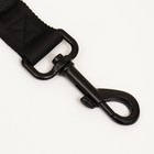 Ремень безопасности для собак амортизирующий, 54-75 х 2,5 см, черный - фото 7013759