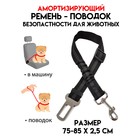 Ремень безопасности для собак, амортизирующий, 75-85 х 2,5 см, черный - фото 301192195