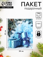 Пакет подарочный новогодний «Подарки зимы», полиэтиленовый с вырубной ручкой, 45×38 см - Фото 1