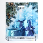 Пакет подарочный новогодний «Подарки зимы», полиэтиленовый с вырубной ручкой, 45×38 см - Фото 2