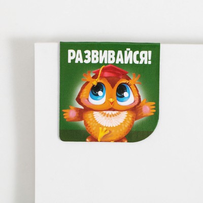 Закладки магнитные для книг, 2 шт. «Школа»