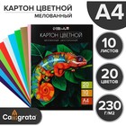 Картон цветной двусторонний А4, 10 листов, 20 цветов, Calligrata TOP мелованный 230 г/м2, в папке - Фото 1