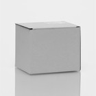 Кружка стеклянная с двойными стенками «Риба», 250 мл - Фото 6