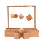 Игровой набор для изучения форм и счёта, цветов и моторики по методике Фридриха Фрёбеля - Фото 11