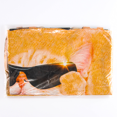 Воздушный шар фольгированный 24" «Ты сияешь», набор 50 шт.