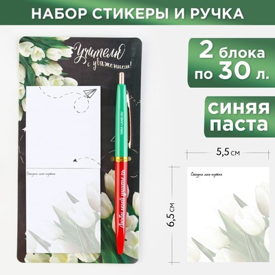 Набор стикеры и ручка «Учителю с уважением», 2 х 30 листа, синяя паста 0.7 мм