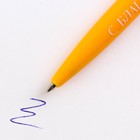 Набор стикеры и ручка «Золотому учителю», 2 х 30 листа, синяя паста 0.7 мм - Фото 8