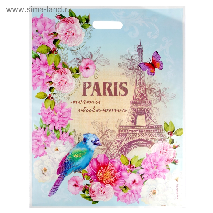 Пакет подарочный полиэтиленовый «Париж», 30,5 × 39,2 см - Фото 1