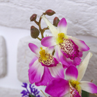 композиция орхидея камушек 19*7 см - Фото 2