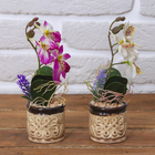композиция орхидея камушек 19*7 см - Фото 3