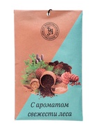 Аромасаше «Свежесть леса», 10 г, «Богатство Аромата» - Фото 1