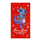 Набор в мешочке "Этель" "Праздник приходит": полотенце 40х73 см, формочки для запекания - 3 штуки - фото 33386564