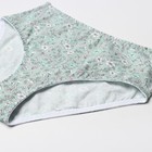 Трусы женские слипы, цвет фисташковый/гвоздики, размер50/XL - фото 47162988