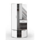 Прихожая в коридор «Торонто 3», 1000×350×2100 мм, цвет ателье светлый/белый - Фото 2