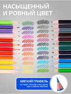 УЦЕНКА Карандаши Calligrata, цветные, 24 цвета, трехгранные, пластиковые - Фото 3