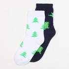 Носки детские KAFTAN «Дракоши», набор 2 пары, размер 14-16 - фото 42144984