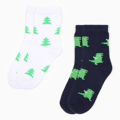 Набор детских носков KAFTAN «Дракоши» 2 пары, размер 16-18