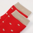 Носки детские махровые KAFTAN "Котята" р-р 16-18 - фото 30056392