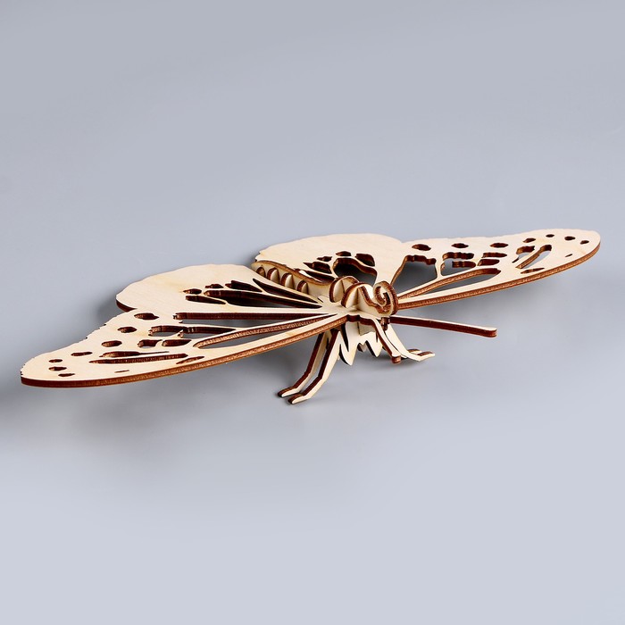 3D пазл «Юный гений»: Собери бабочку - фото 1909250553