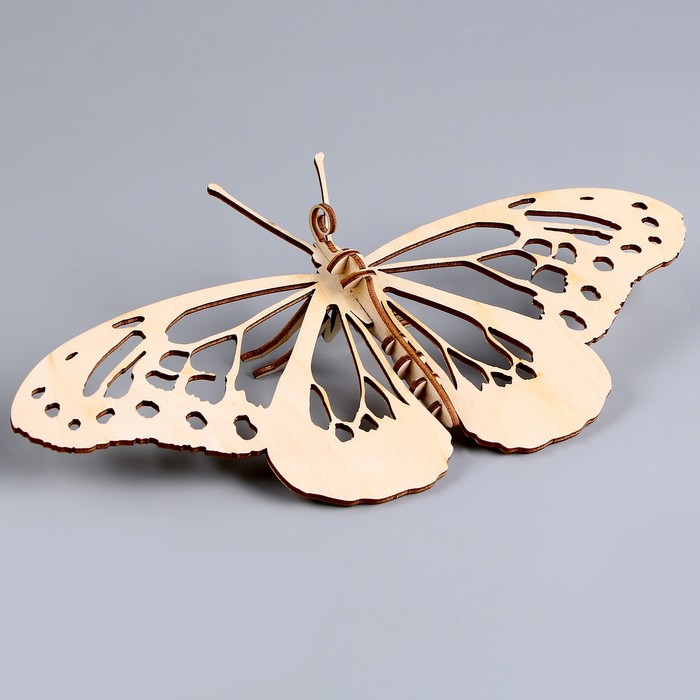 3D пазл «Юный гений»: Собери бабочку - фото 1909250555