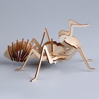 3D пазл «Юный гений: Собери муравья» - фото 7110881