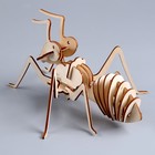 3D пазл «Юный гений: Собери муравья» - фото 7110882