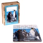 Пазл серия фантазия «Пингвин», 24 детали, размер — 28 × 18,5 см - фото 7110944