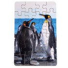 Пазл серия фантазия «Пингвин», 24 детали, размер — 28 × 18,5 см - фото 3903357