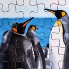 Пазл серия фантазия «Пингвин», 24 детали, размер — 28 × 18,5 см - фото 3903358