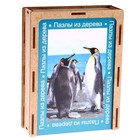 Пазл серия фантазия «Пингвин», 24 детали, размер — 28 × 18,5 см - фото 7110948