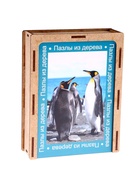 Пазл серия фантазия «Пингвин», 24 детали, размер — 28×18.5 см 9784567 Пазл серия фантазия «Пингвин», 24 детали, размер — 28×18.5 см 9784567