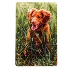 Пазл серия фантазия Собачка», 24 детали, размер — 28×18.5 см 9784568