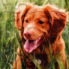 Пазл серия фантазия Собачка», 24 детали, размер — 28×18.5 см 9784568