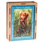 Пазл серия фантазия Собачка», 24 детали, размер — 28×18.5 см 9784568
