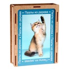 Пазл серия фантазия «Котик», 24 детали, размер — 28 × 18,5 см - фото 3903365