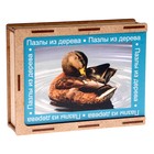 Пазл серия фантазия «Утка», 24 детали, размер — 28 × 18,5 см 9784574 - фото 319861362