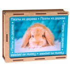 Пазл серия фантазия «Кролик», 24 детали, размер — 28 × 18,5 см - Фото 4