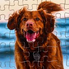 Пазл серия фантазия «Веселый пес», 54 детали, размер — 28 × 18,5 см - Фото 3
