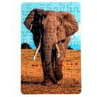 Пазл серия фантазия «Слон», 54 детали, размер — 28 × 18,5 см - фото 3903382