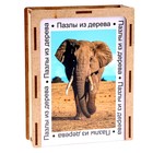 Пазл серия фантазия «Слон», 54 детали, размер — 28 × 18,5 см - Фото 5