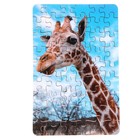Пазл серия фантазия «Жираф», 54 детали, размер — 28 × 18,5 см - фото 3903387