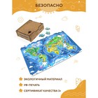 Пазл «Карта мира» премиум - фото 3903444