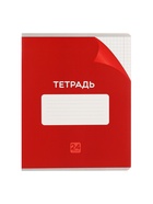 Комплект тетрадей из 10 штук, 24 листа в клетку Calligrata "Однотонная Классика с уголком", обложка мелованный картон, ВД-лак, блок офсет, 5 видов по 2 штуки - фото 24442145