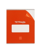 Комплект тетрадей из 10 штук, 24 листа в клетку Calligrata "Однотонная Классика с уголком", обложка мелованный картон, ВД-лак, блок офсет, 5 видов по 2 штуки - фото 24442146