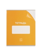 Комплект тетрадей из 10 штук, 24 листа в клетку Calligrata "Однотонная Классика с уголком", обложка мелованный картон, ВД-лак, блок офсет, 5 видов по 2 штуки - фото 24442147